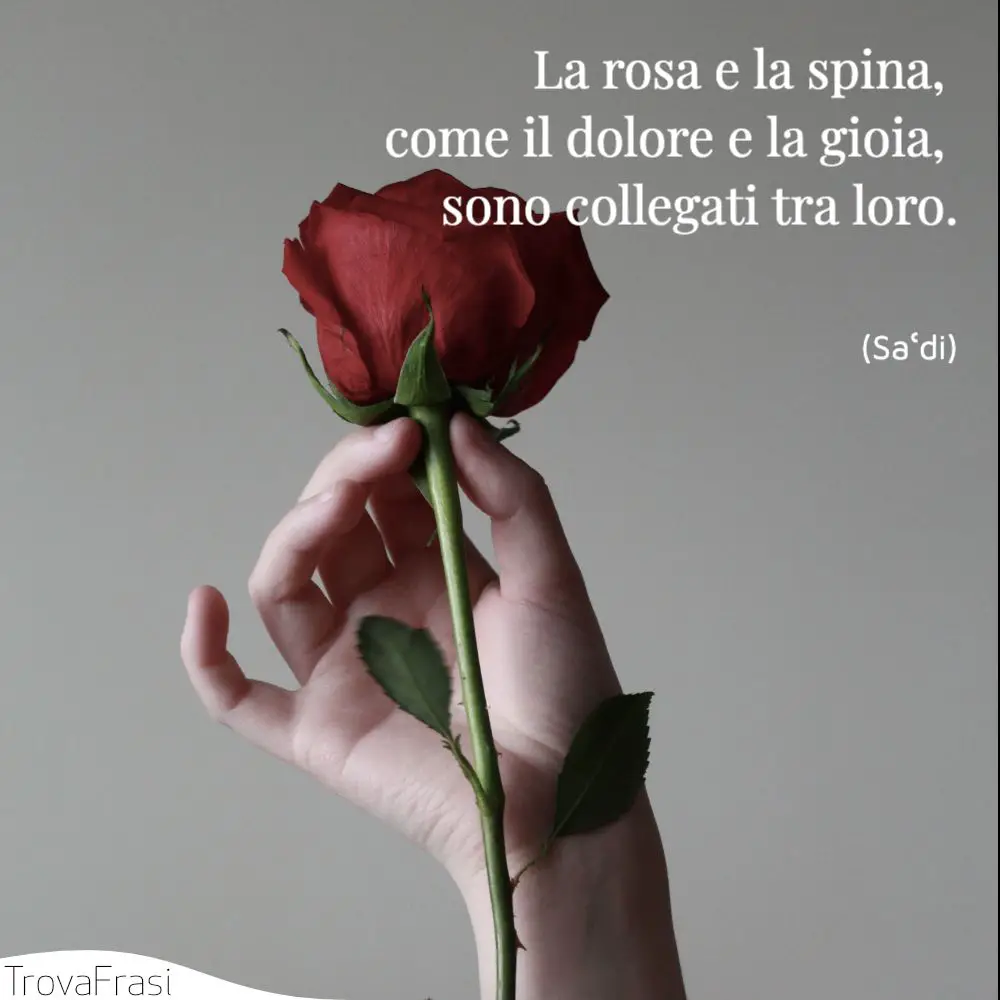 Frasi sulle rose: il simbolo dell'amore e della passione - TrovaFrasi