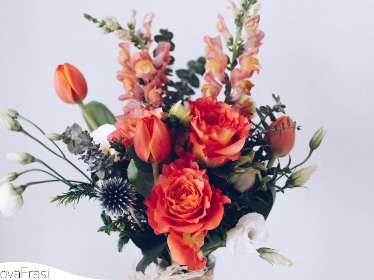 Le Frasi Sui Fiori I Gioielli Colorati Della Natura Trovafrasi