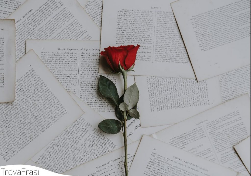 sulle rose