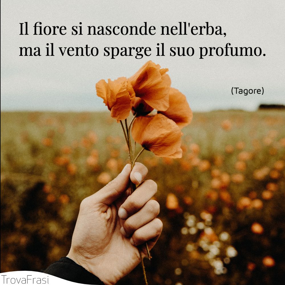 Le Frasi Sui Fiori I Gioielli Colorati Della Natura Trovafrasi