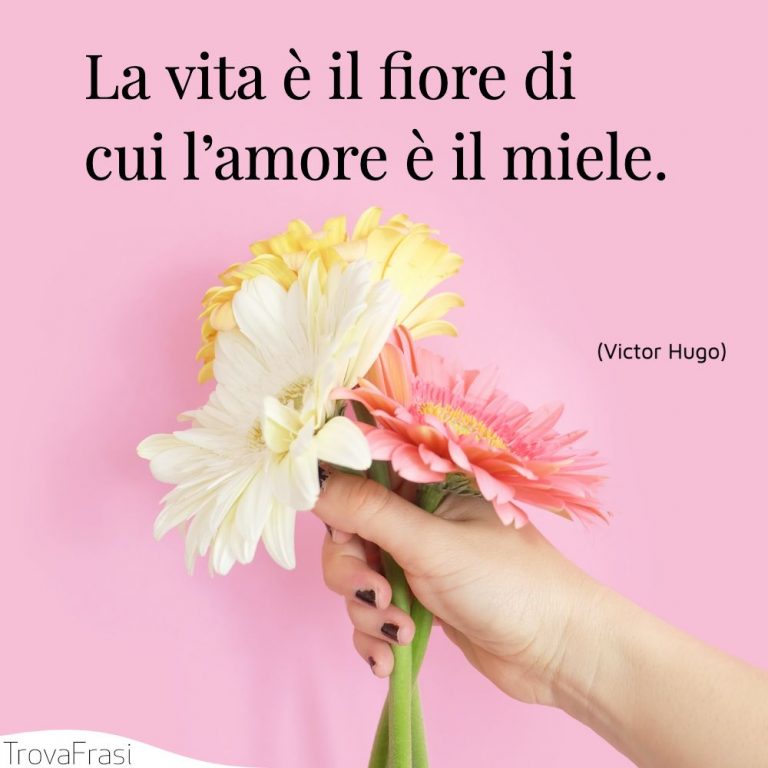 L Amore è Come Un Fiore Va Coltivato