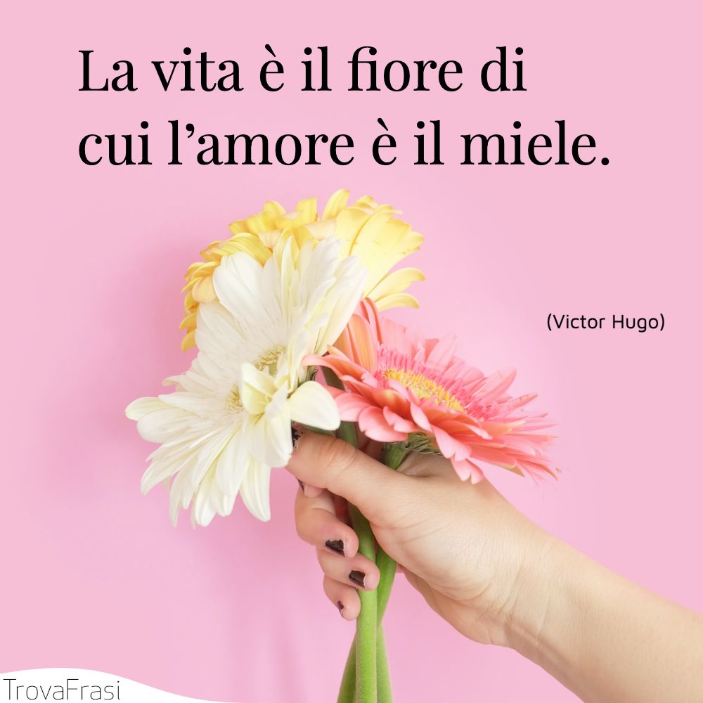 Le frasi sui fiori i gioielli colorati della natura TrovaFrasi Le frasi sui fiori i gioielli colorati della natura TrovaFrasi