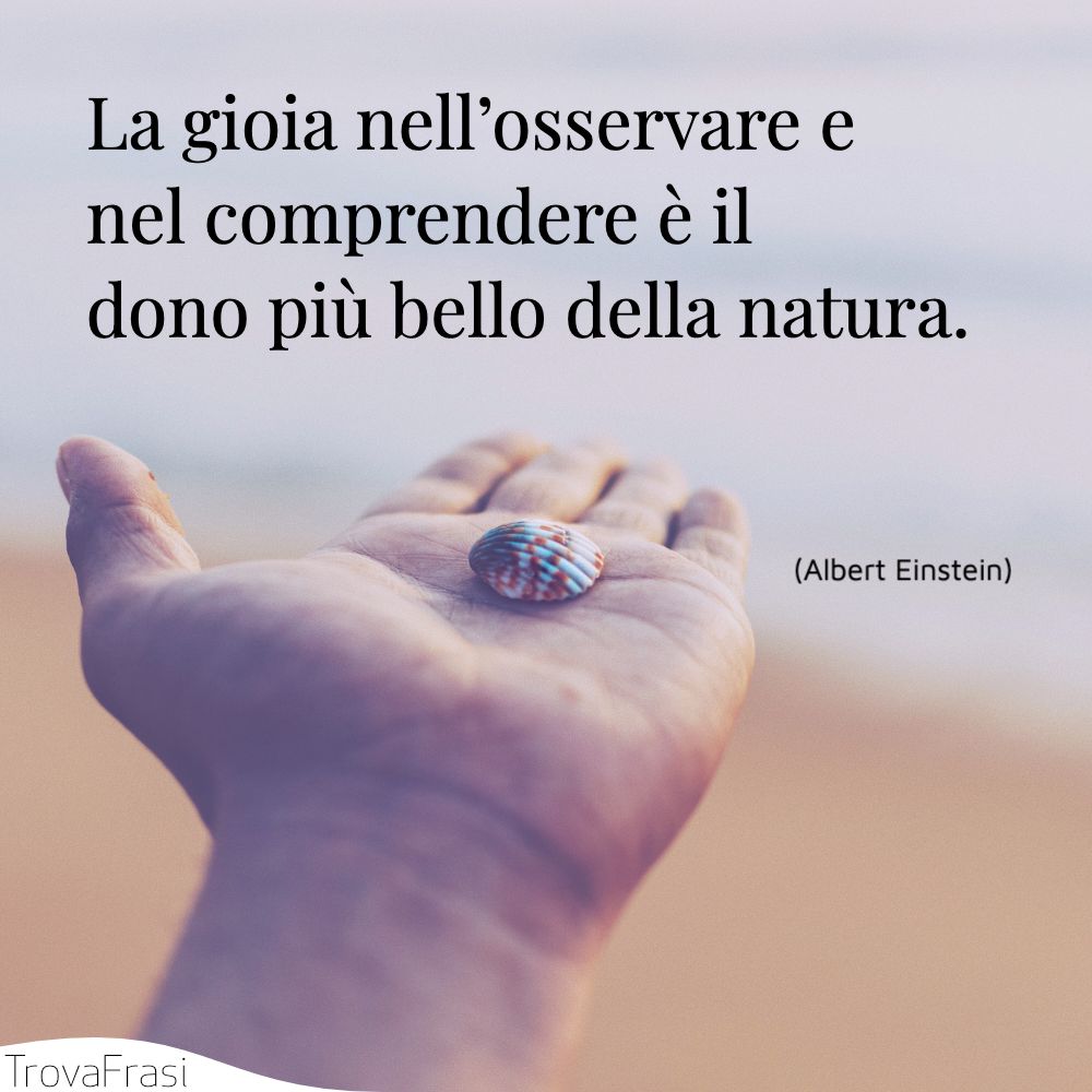 La gioia nell’osservare e nel comprendere è il dono più bello della natura.