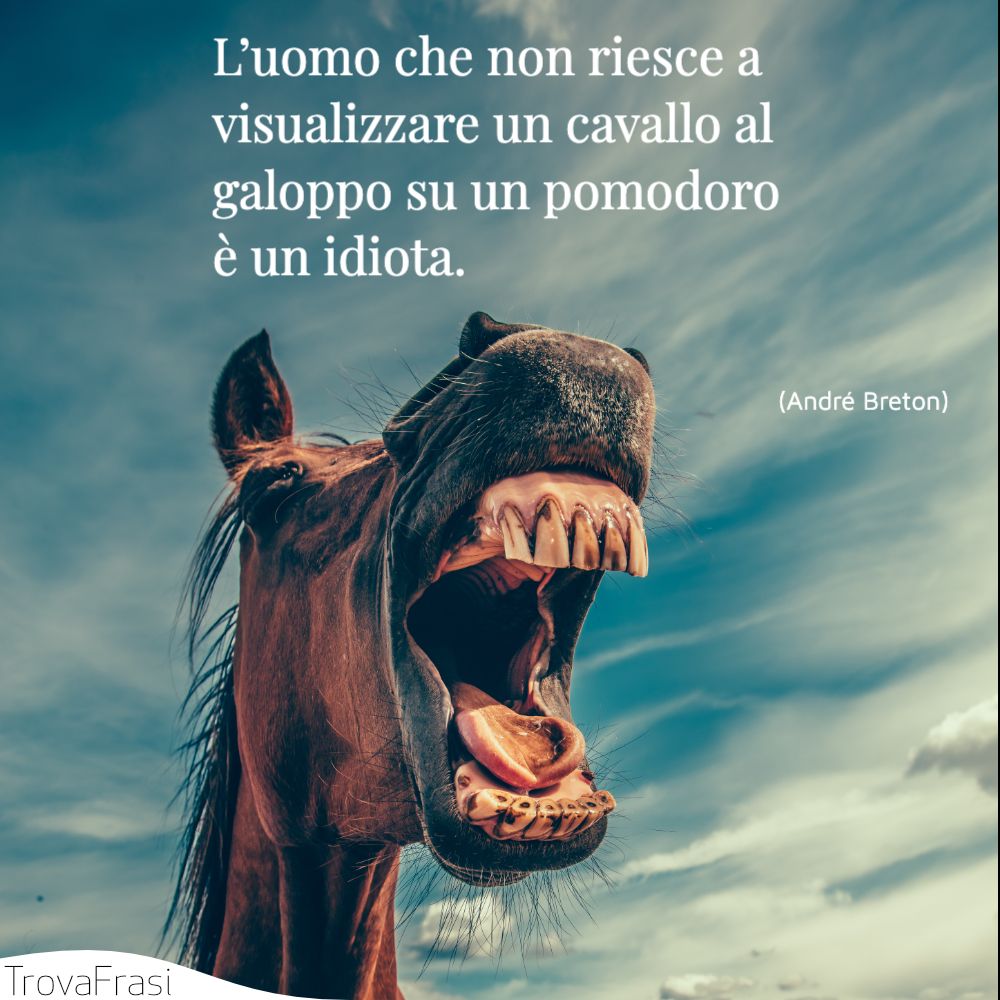 L’uomo che non riesce a visualizzare un cavallo al galoppo su un pomodoro è un idiota.