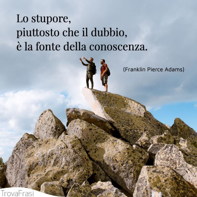 Le frasi sulla meraviglia e sui