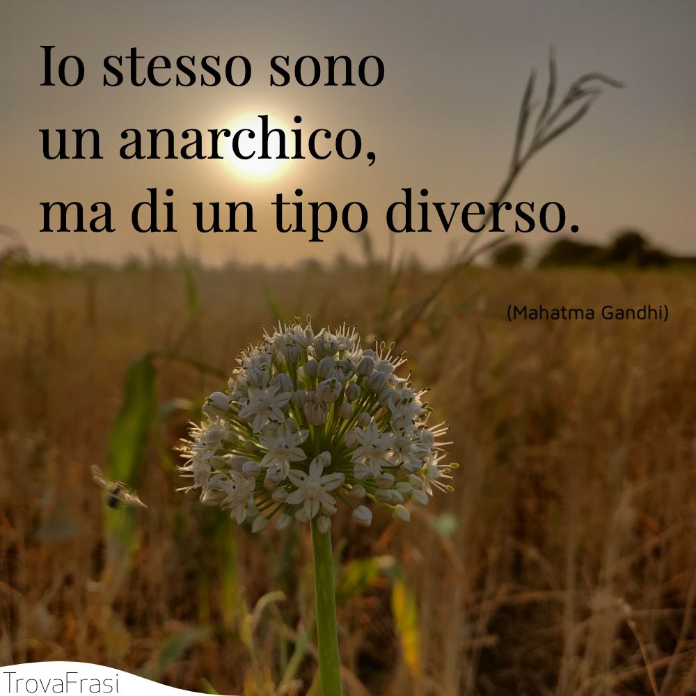 Io stesso sono un anarchico, ma di un tipo diverso.