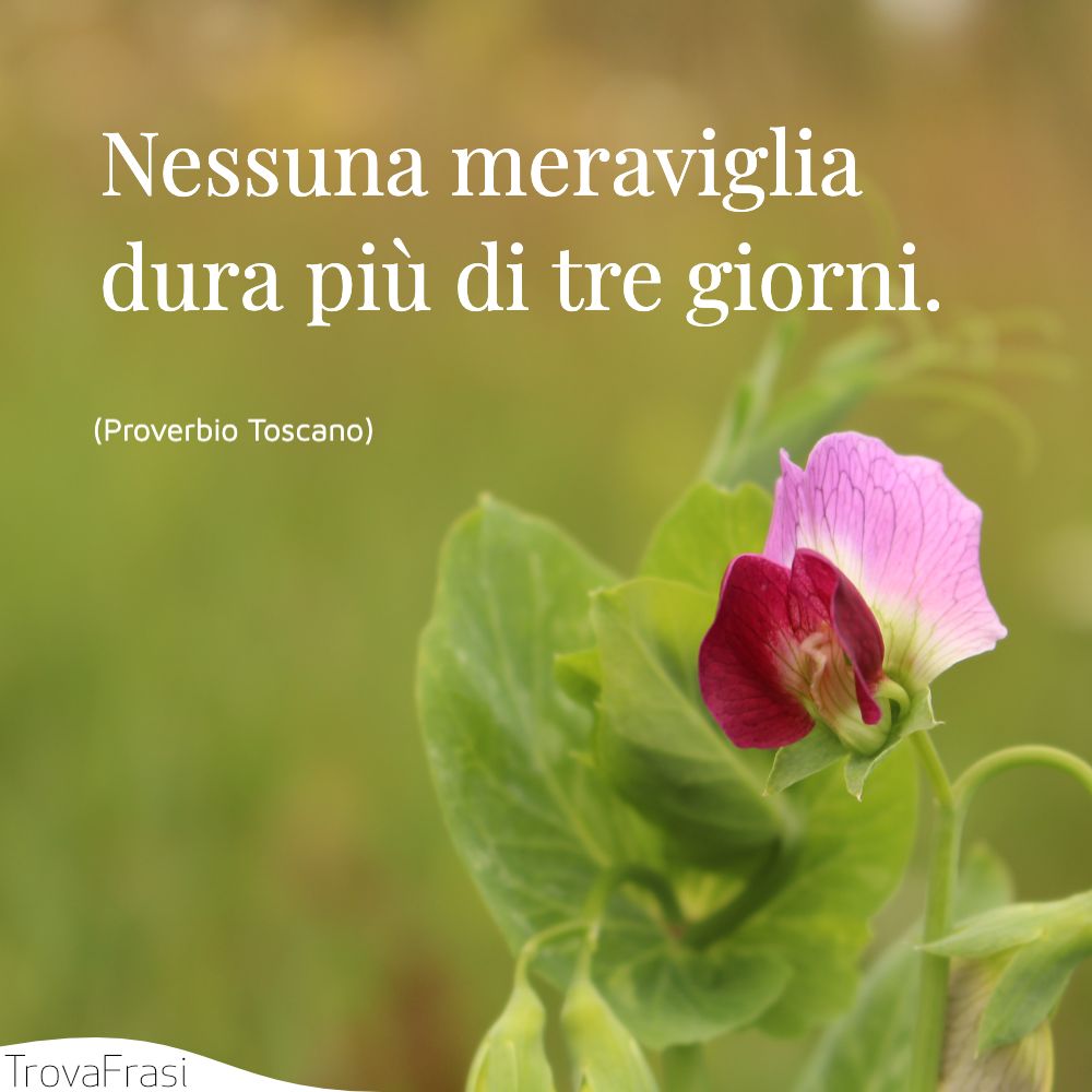 Nessuna meraviglia dura più di tre giorni.