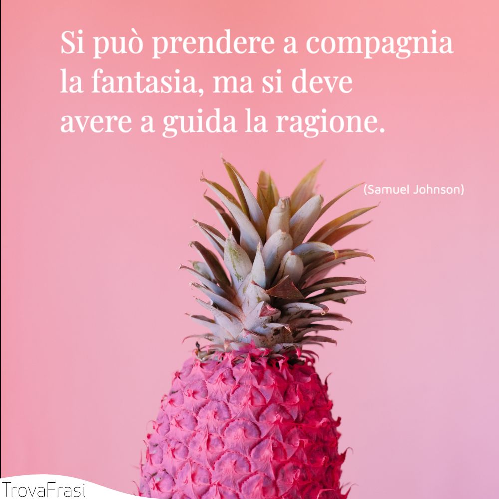 Si può prendere a compagnia la fantasia, ma si deve avere a guida la ragione.