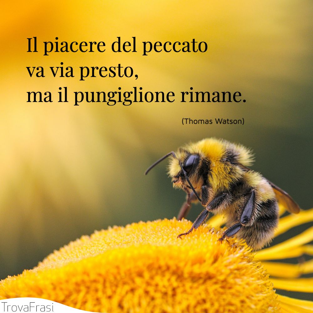 Il piacere del peccato va via presto, ma il pungiglione rimane.