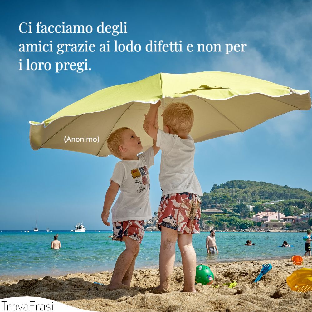 Ci facciamo degli amici grazie ai lodo difetti e non per i loro pregi.