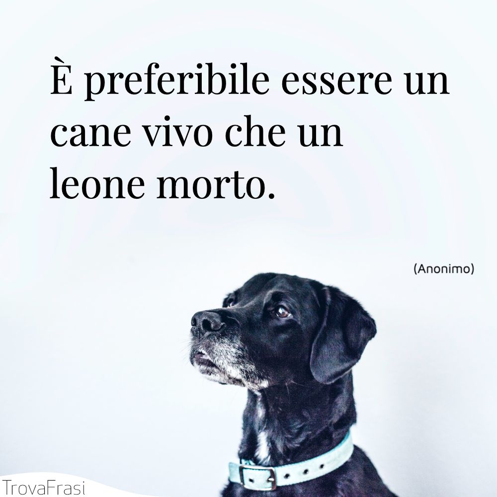 È preferibile essere un cane vivo che un leone morto.