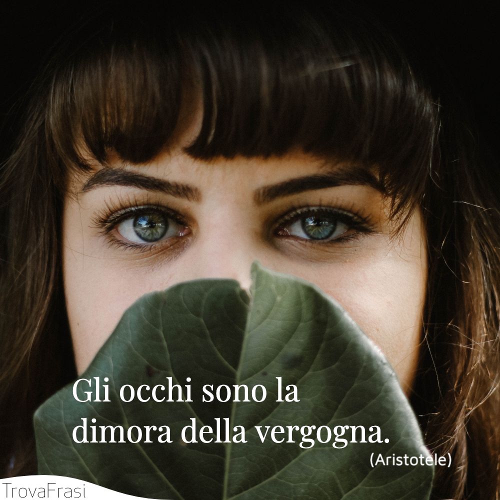 Gli occhi sono la dimora della vergogna.
