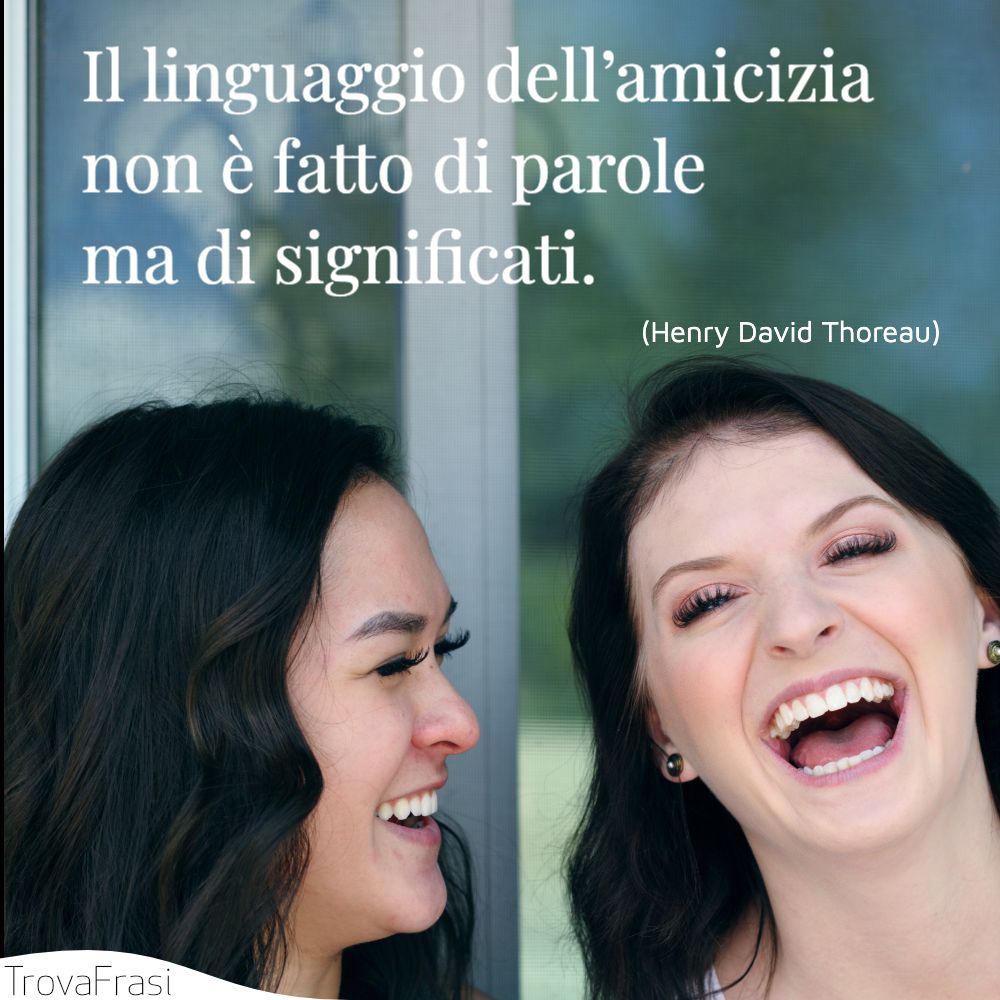 Il linguaggio dell’amicizia non è fatto di parole ma di significati.
