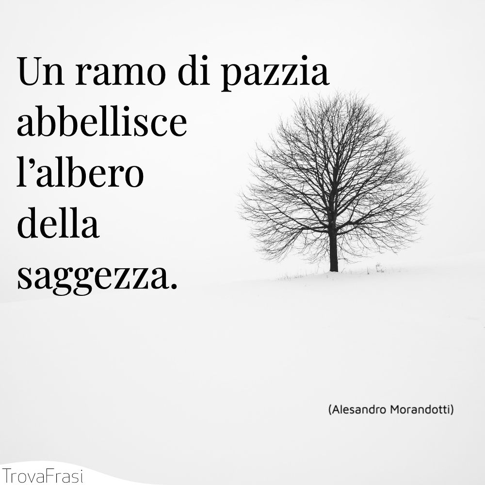 Un ramo di pazzia abbellisce l’albero della saggezza.