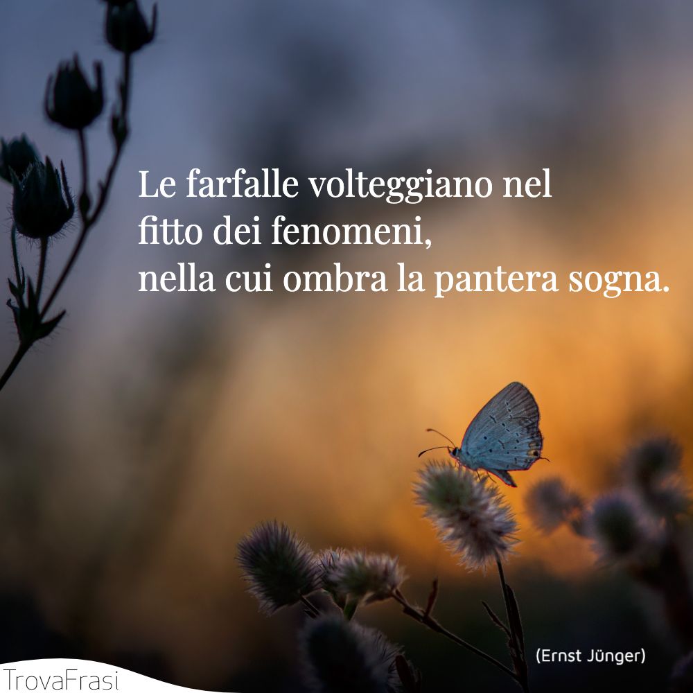 Le farfalle volteggiano nel fitto dei fenomeni, nella cui ombra la pantera sogna.