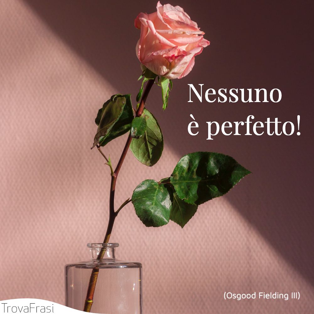 Nessuno è perfetto!