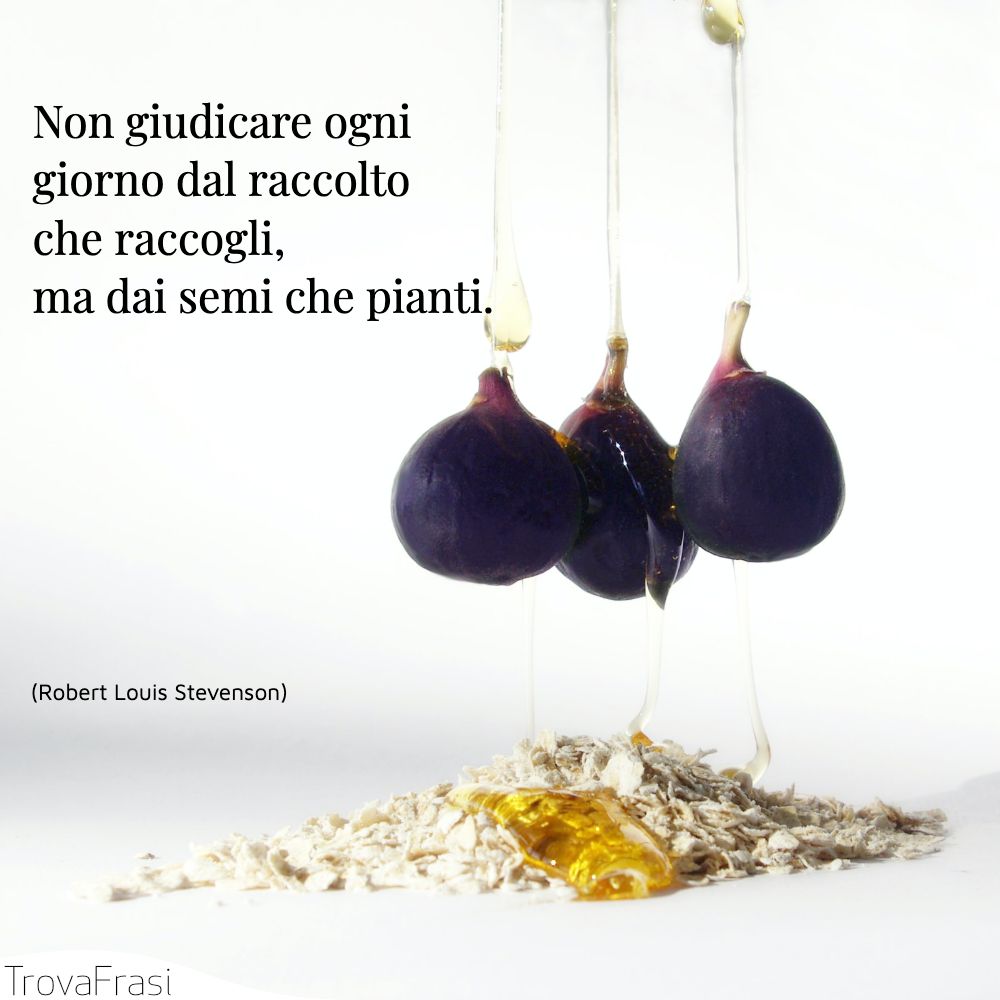 Non giudicare ogni giorno dal raccolto che raccogli, ma dai semi che pianti.