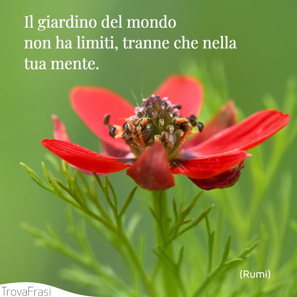 Il giardino del mondo non ha limiti, tranne che nella tua mente.