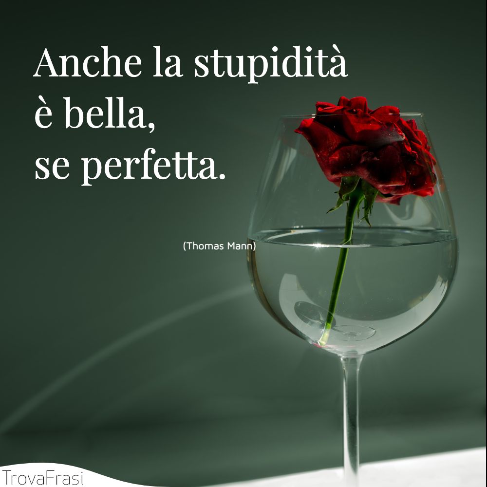 Anche la stupidità è bella, se perfetta.