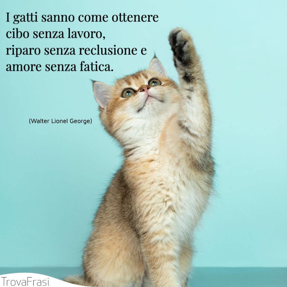 I gatti sanno come ottenere cibo senza lavoro, riparo senza reclusione e amore senza fatica.