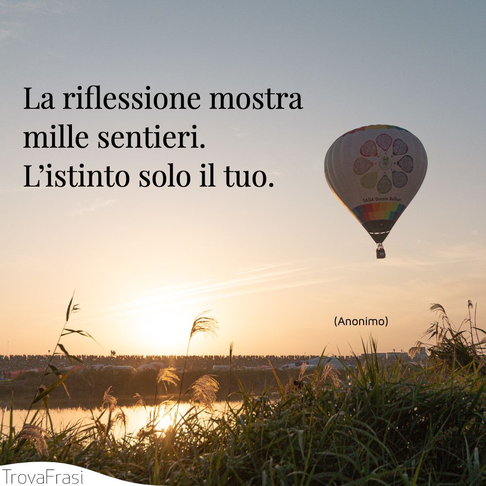La riflessione mostra mille sentieri. L’istinto solo il tuo.