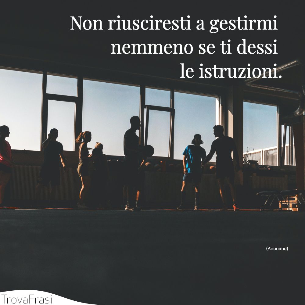 Non riusciresti a gestirmi nemmeno se ti dessi le istruzioni.