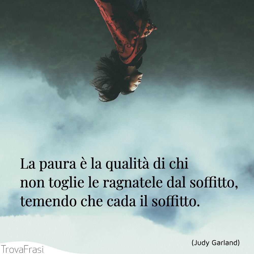 La paura è la qualità di chi non toglie le ragnatele dal soffitto, temendo che cada il soffitto.
