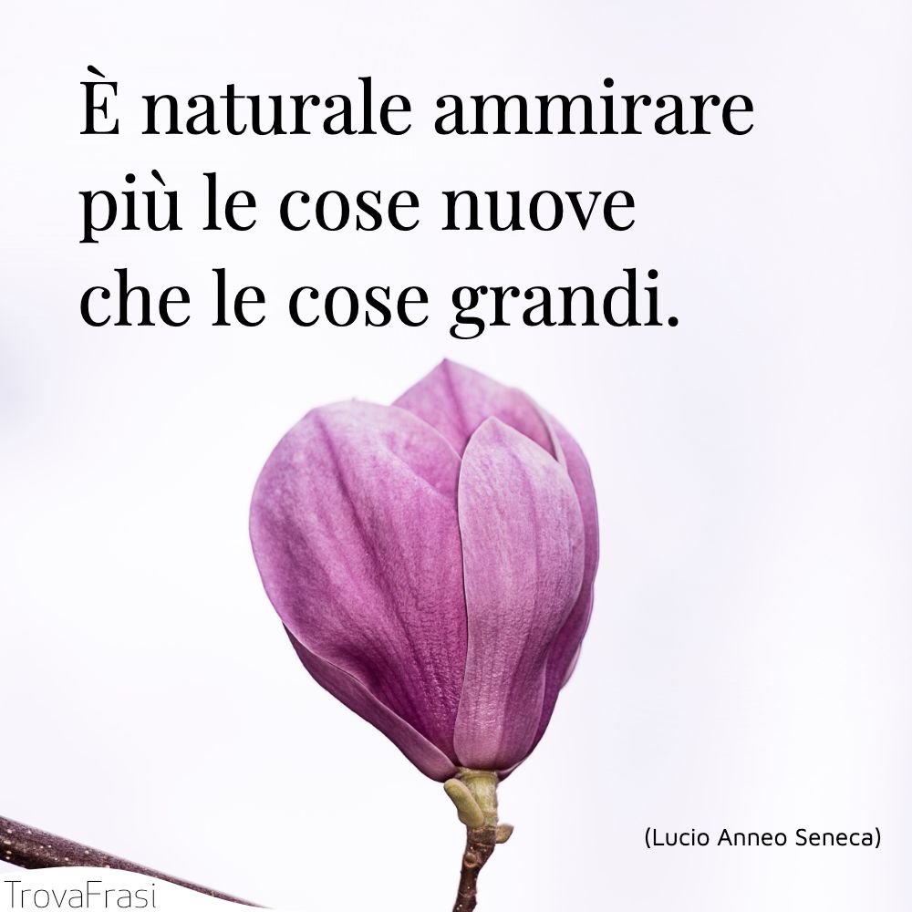 È naturale ammirare più le cose nuove che le cose grandi.