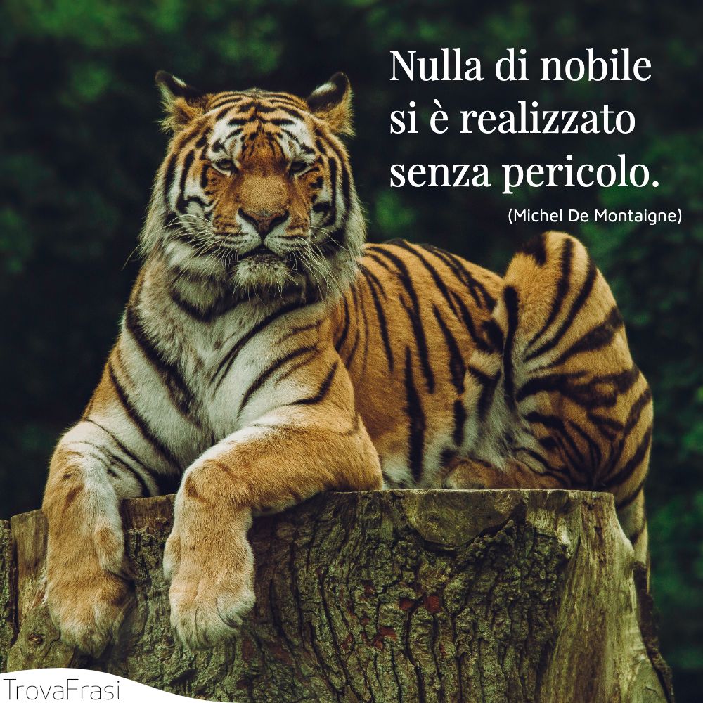 Nulla di nobile si è realizzato senza pericolo.