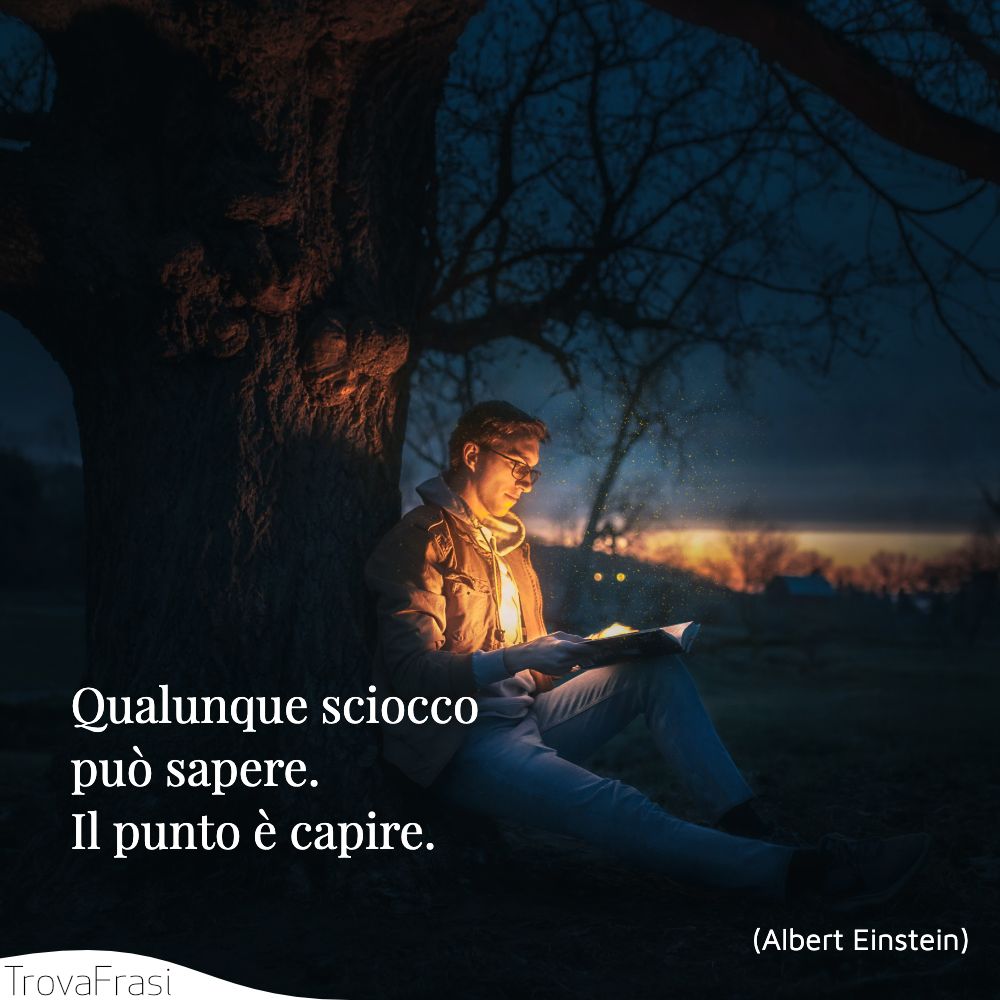 Qualunque sciocco può sapere. Il punto è capire.