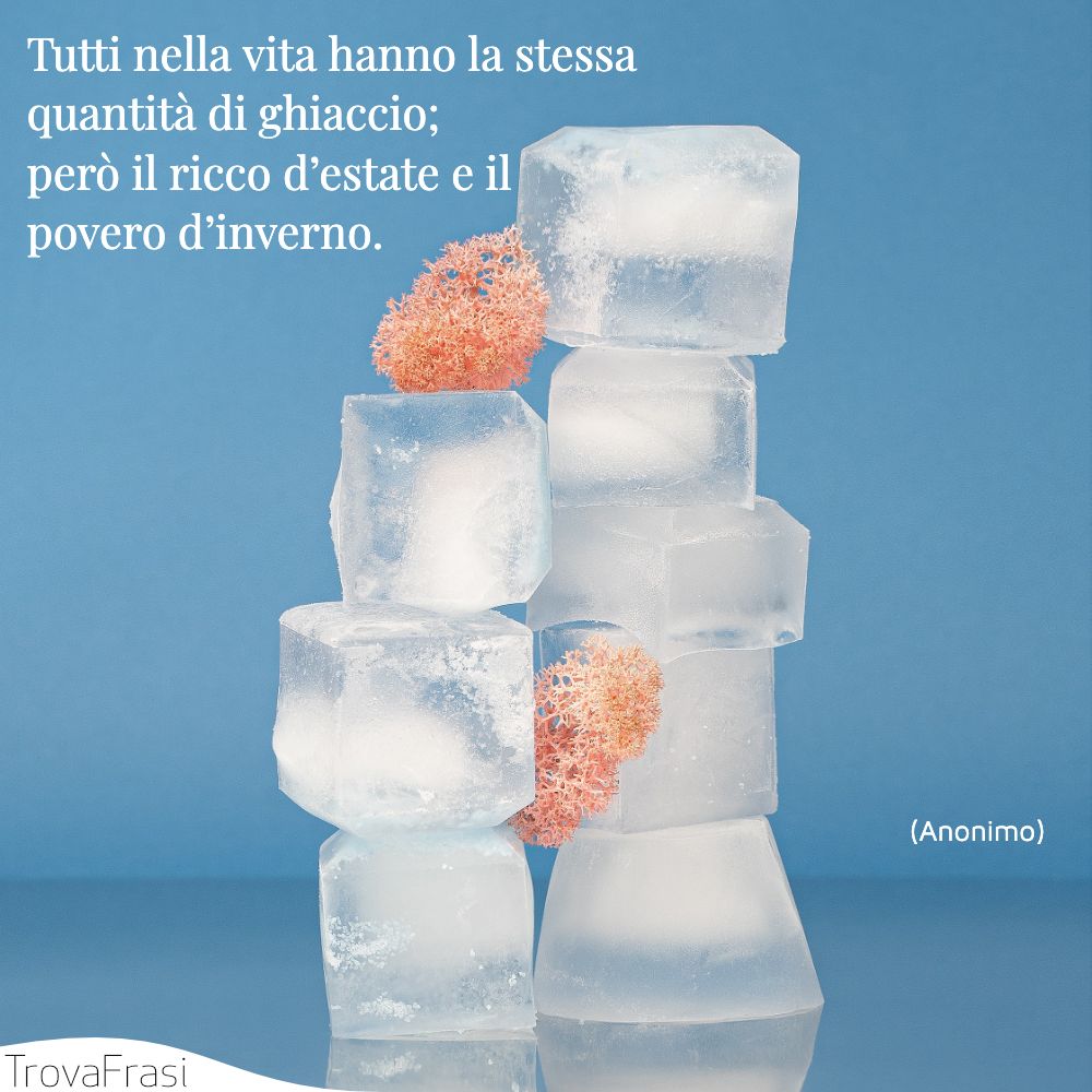 Tutti nella vita hanno la stessa quantità di ghiaccio; però il ricco d’estate e il povero d’inverno.