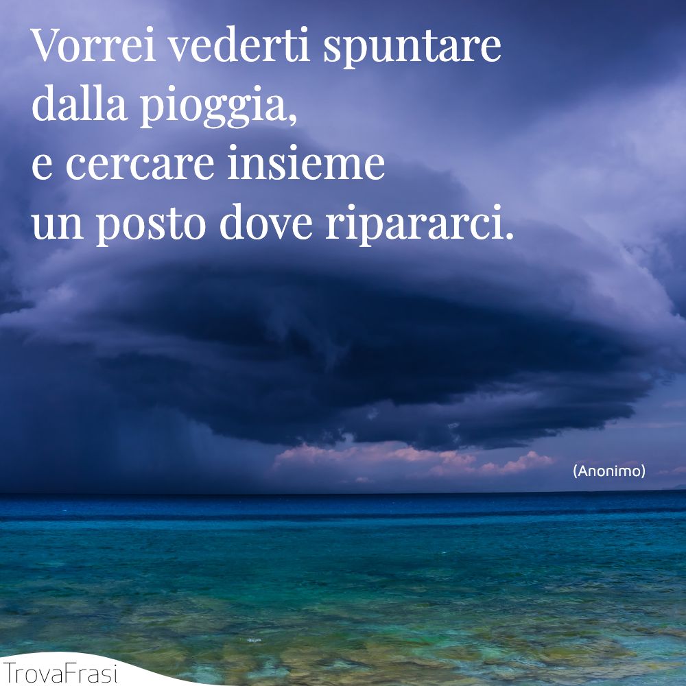 Vorrei vederti spuntare dalla pioggia, e cercare insieme un posto dove ripararci.