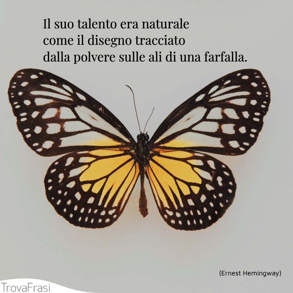 Il suo talento era naturale come il disegno tracciato dalla polvere sulle ali di una farfalla.