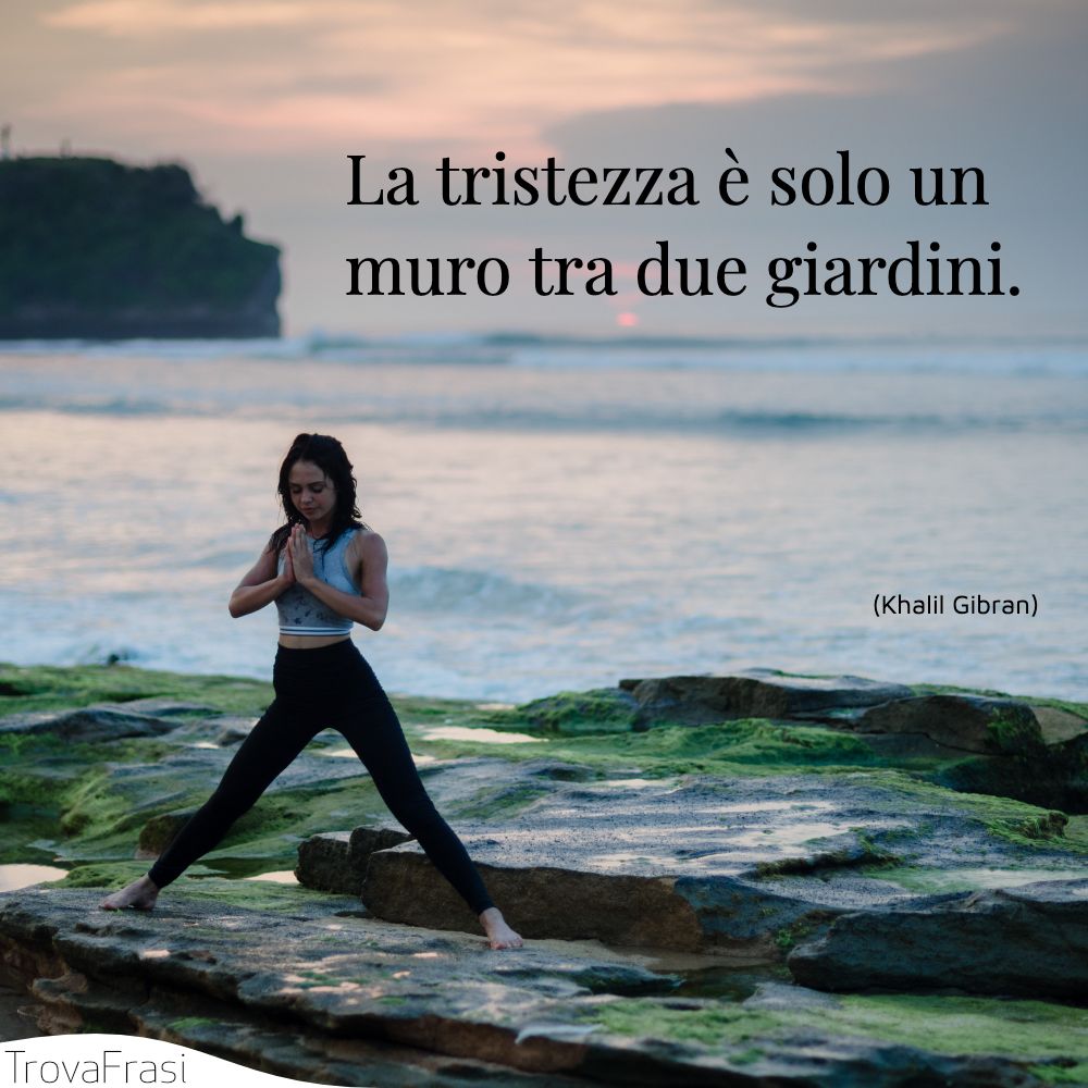 La tristezza è solo un muro tra due giardini.