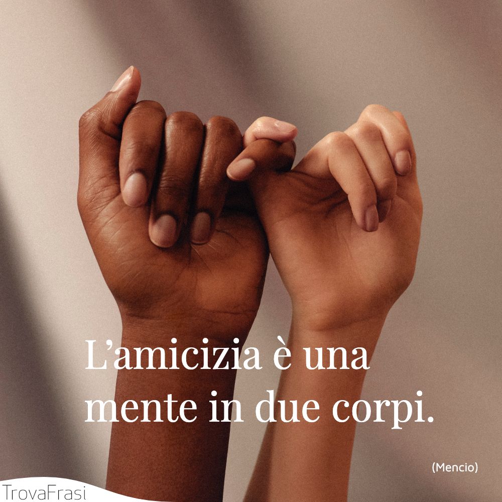 L’amicizia è una mente in due corpi.