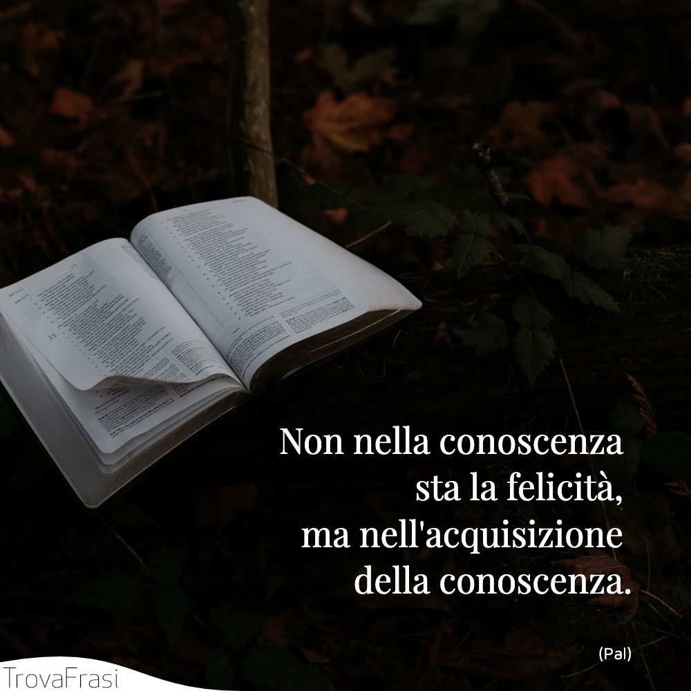 Non nella conoscenza sta la felicità, ma nell'acquisizione della conoscenza.