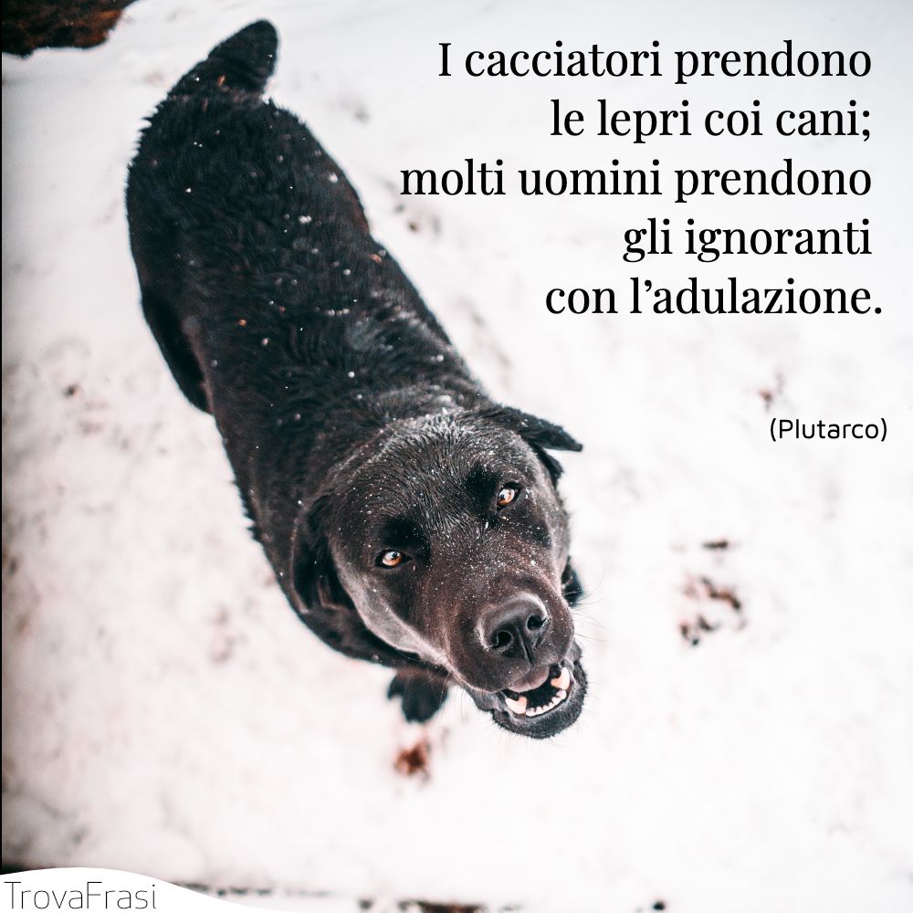I cacciatori prendono le lepri coi cani; molti uomini prendono gli ignoranti con l’adulazione.