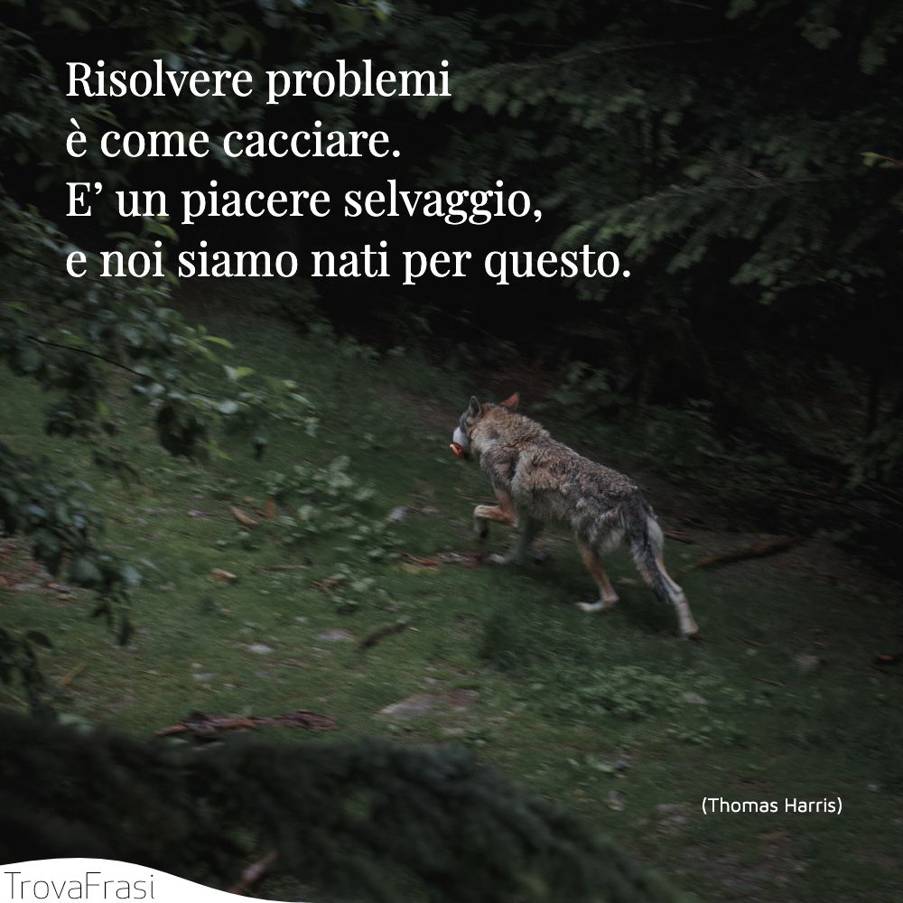 Risolvere problemi è come cacciare. E’ un piacere selvaggio, e noi siamo nati per questo.