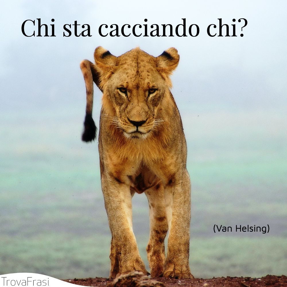 Chi sta cacciando chi?