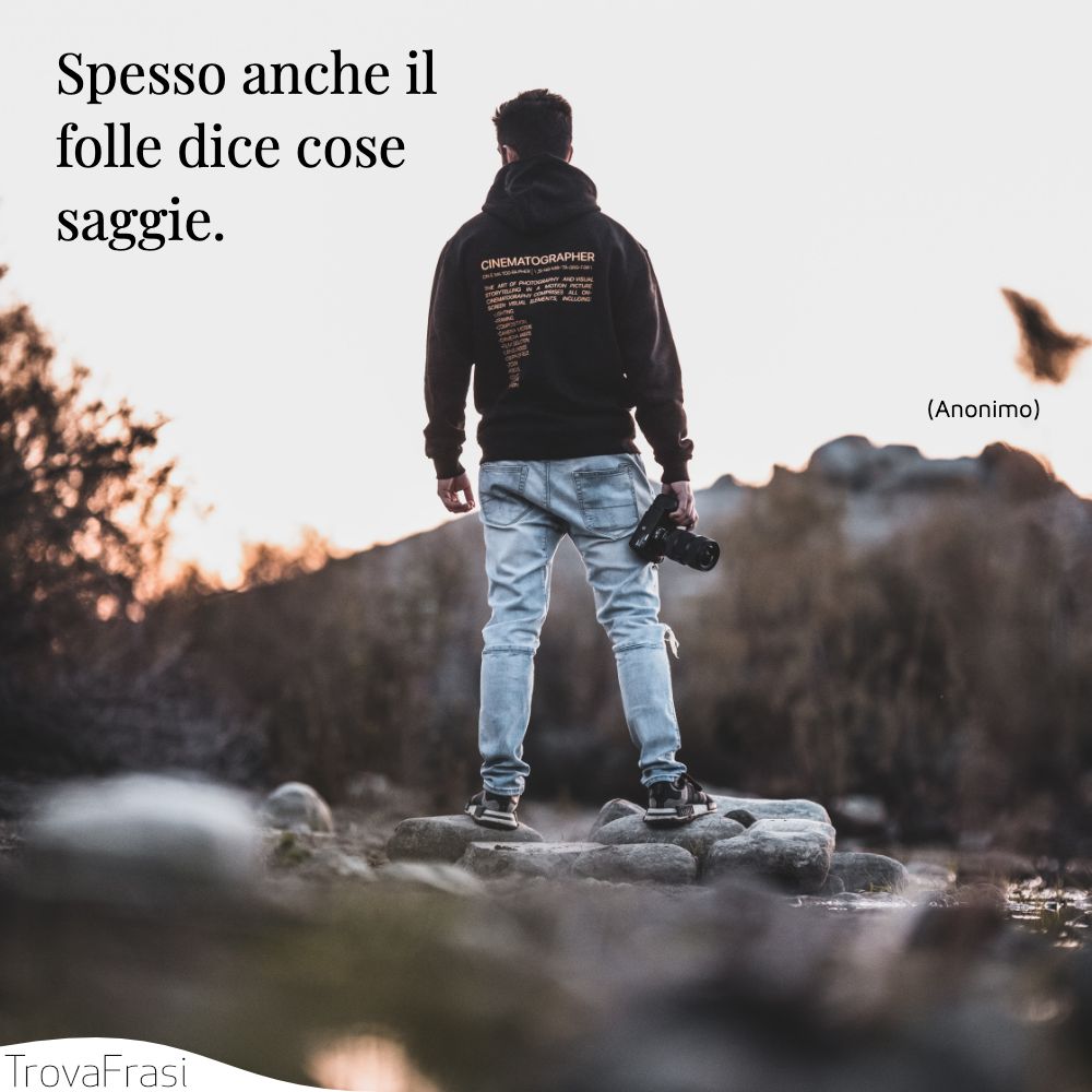 Spesso anche il folle dice cose saggie.