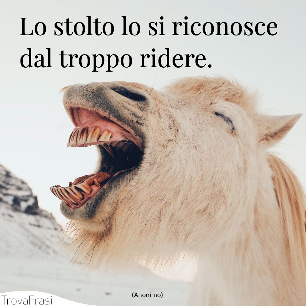 Lo stolto lo si riconosce dal troppo ridere.