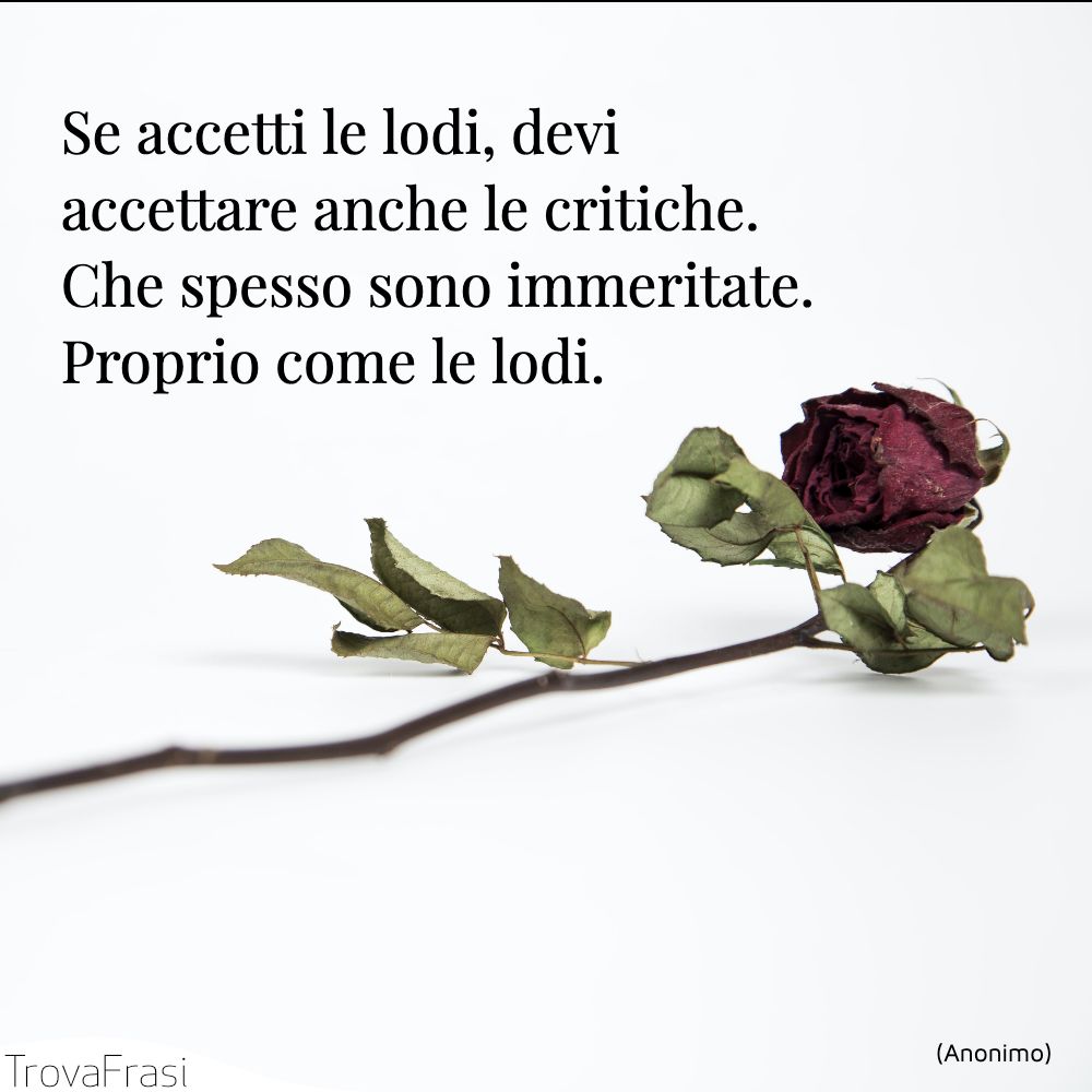 Se accetti le lodi, devi accettare anche le critiche. Che spesso sono immeritate. Proprio come le lodi.