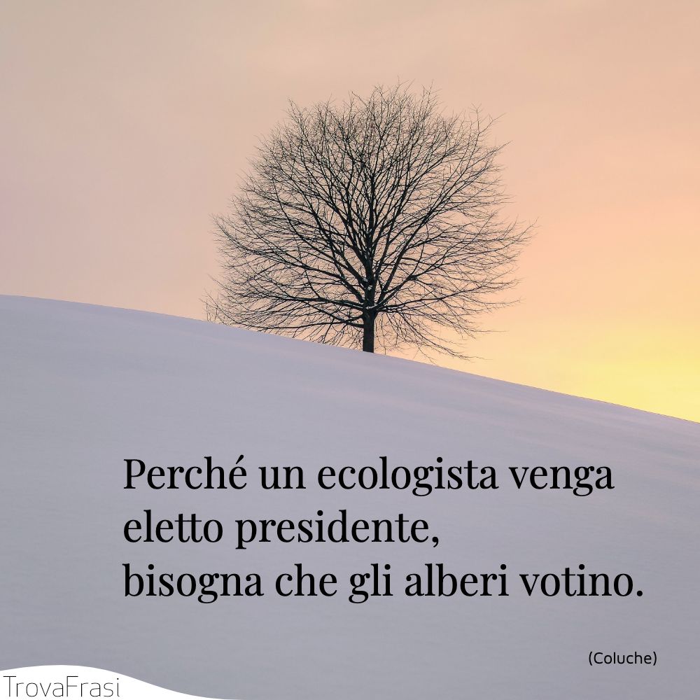 Perché un ecologista venga eletto presidente, bisogna che gli alberi votino.