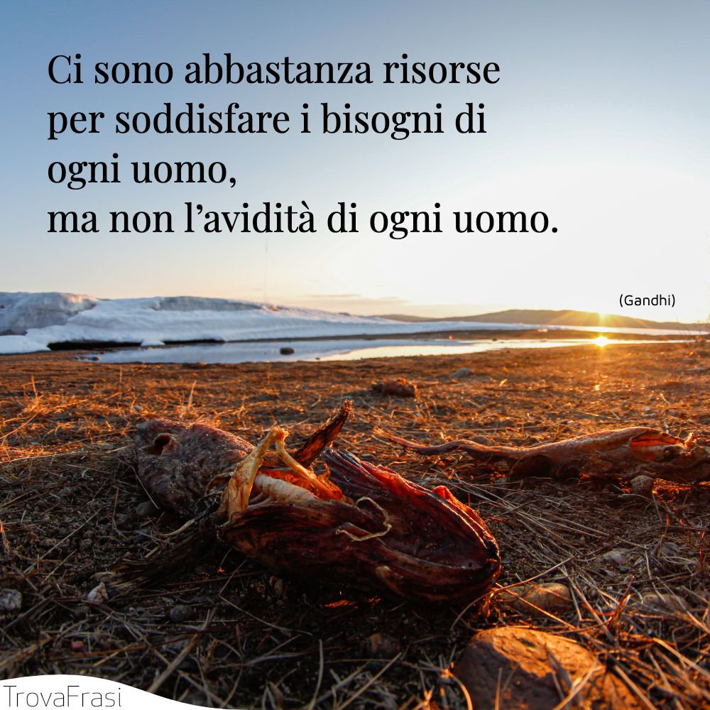 Ci sono abbastanza risorse per soddisfare i bisogni di ogni uomo, ma non l’avidità di ogni uomo.