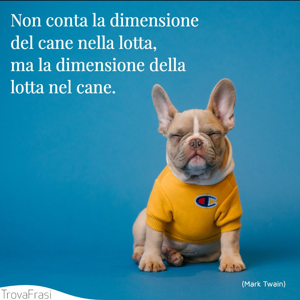 Non conta la dimensione del cane nella lotta, ma la dimensione della lotta nel cane.