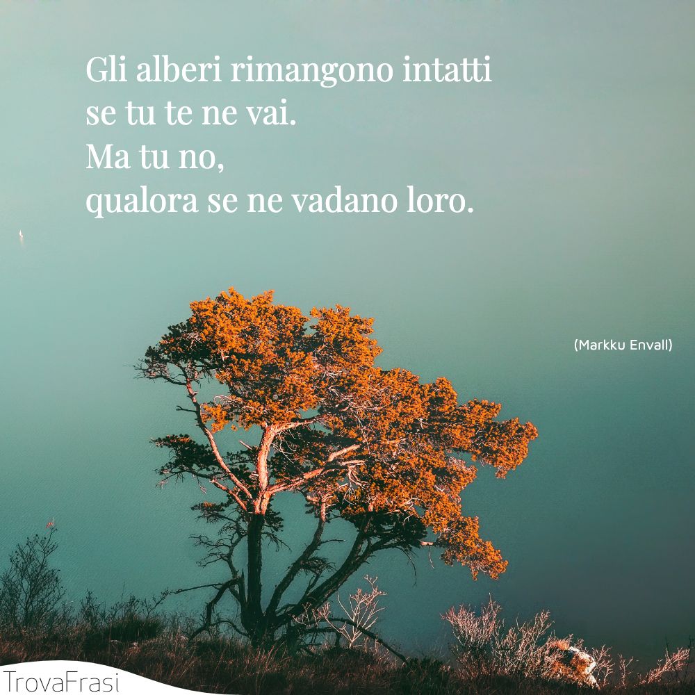 Gli alberi rimangono intatti se tu te ne vai. Ma tu no, qualora se ne vadano loro.