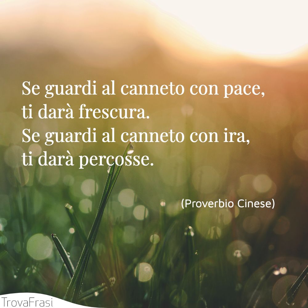 Se guardi al canneto con pace, ti darà frescura. Se guardi al canneto con ira, ti darà percosse.