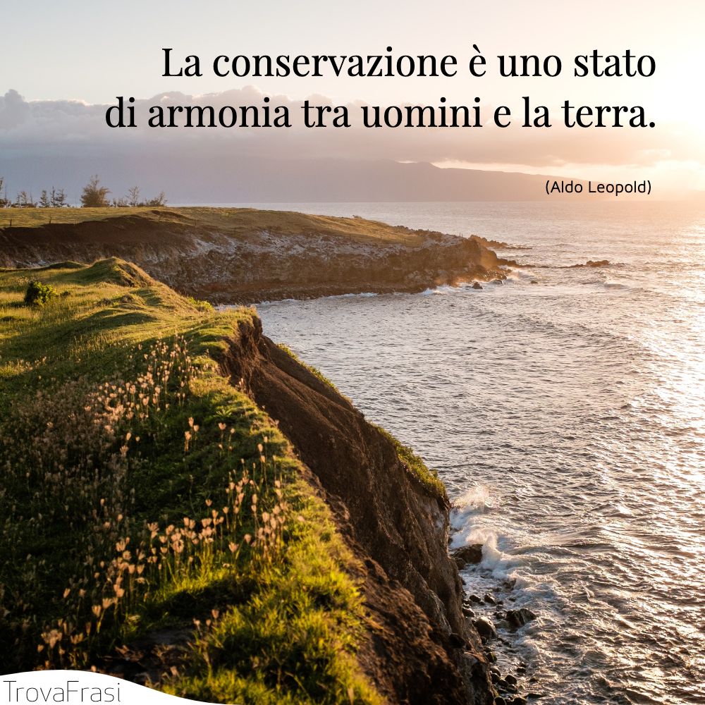 La conservazione è uno stato di armonia tra uomini e la terra.