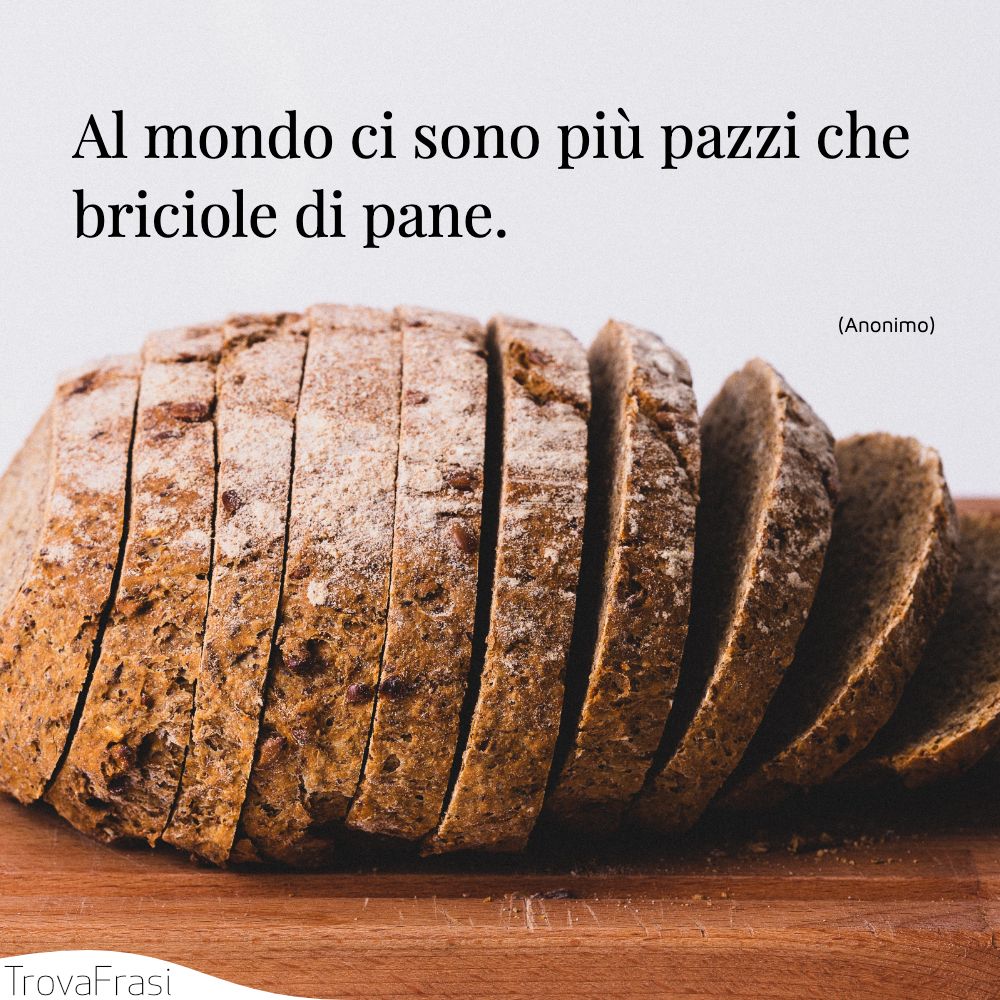 Al mondo ci sono più pazzi che briciole di pane.