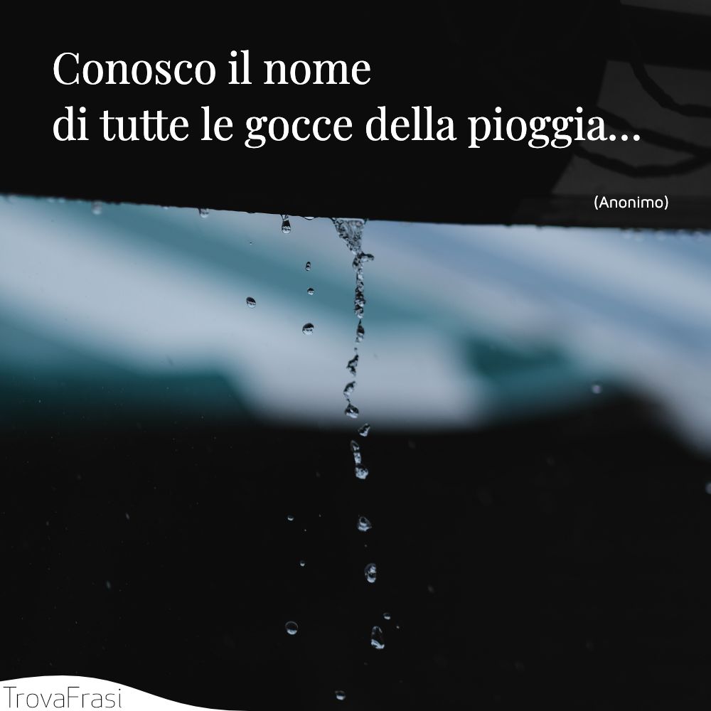 Conosco il nome di tutte le gocce della pioggia…